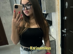 Karinamikus