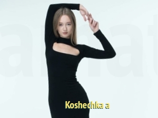 Koshechka_a