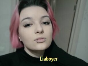 Liaboyer