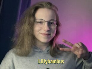 Lillybambus