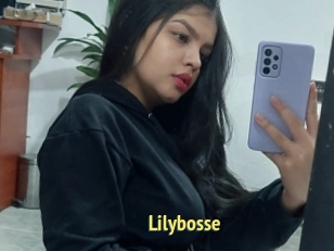 Lilybosse