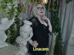 Linacams