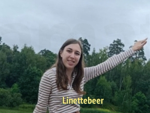 Linettebeer