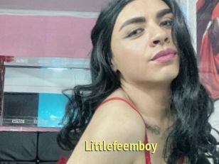 Littlefeemboy