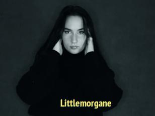 Littlemorgane