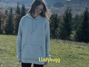 Lladybugg