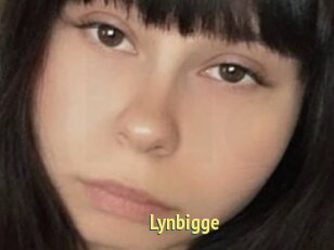 Lynbigge