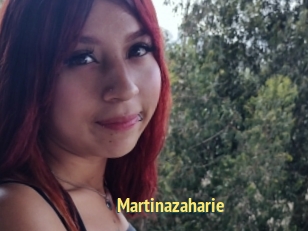 Martinazaharie