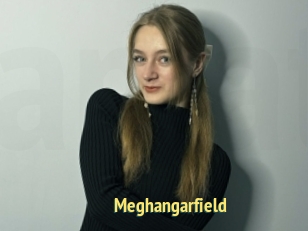 Meghangarfield