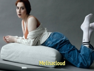 Melisacloud