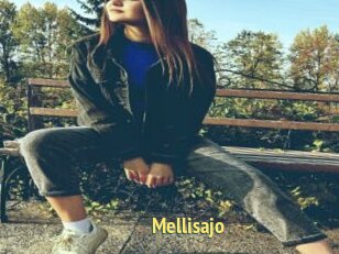 Mellisajo