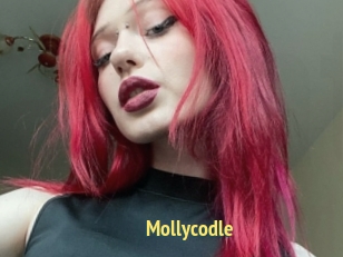 Mollycodle