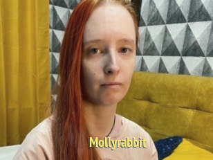 Mollyrabbit