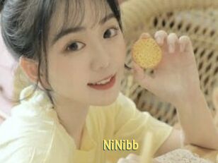 NiNibb