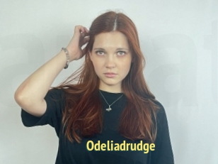 Odeliadrudge