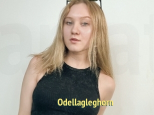 Odellagleghorn