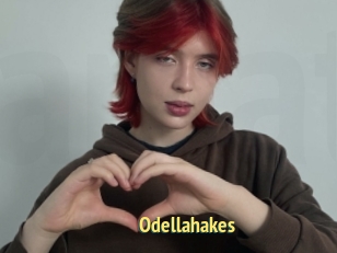 Odellahakes