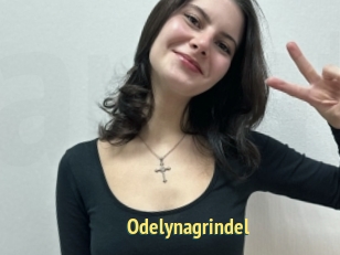 Odelynagrindel