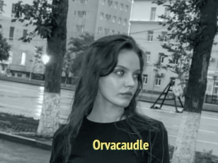 Orvacaudle