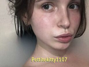 Pettitekitty1107