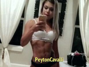 Peyton_Cavalli