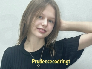 Prudencecodringt