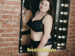 Rosaliebigboobs