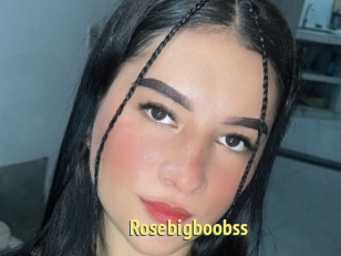 Rosebigboobss