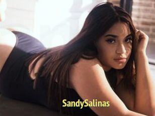 SandySalinas