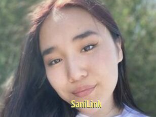 SaniLink