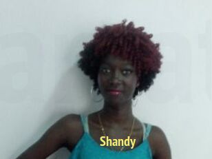 Shandy