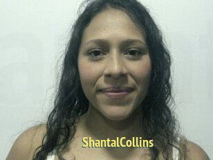 ShantalCollins