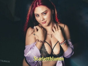 Scarlettblumm