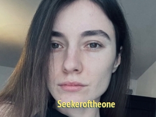 Seekeroftheone