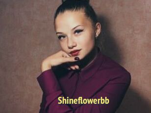 Shineflowerbb