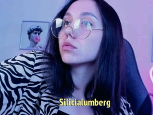 Silicialumberg