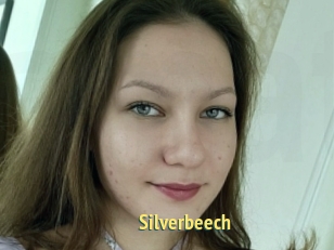 Silverbeech