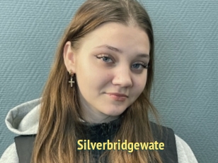 Silverbridgewate