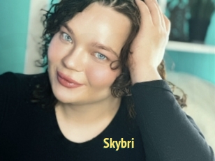 Skybri