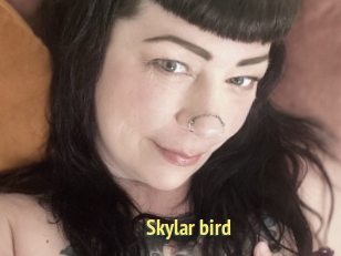 Skylar_bird