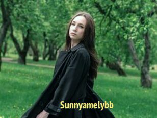 Sunnyamelybb