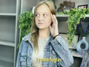 Synnefugler