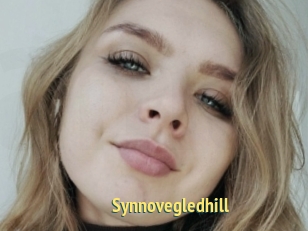 Synnovegledhill