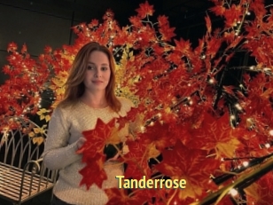 Tanderrose