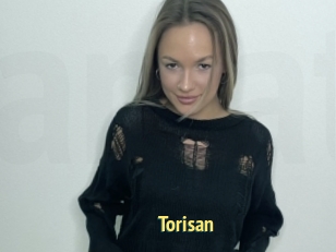 Torisan