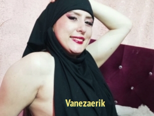 Vanezaerik