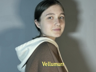 Vellumurr