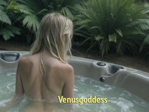 Venusgoddess