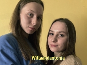 Willaandantonia