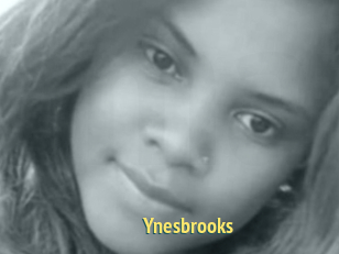 Ynesbrooks